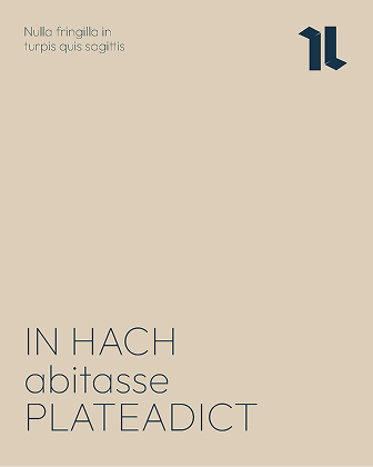 Implementation Image